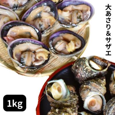 ふるさと納税 南知多町 海鮮バーベキューセット1kg(大あさり500g&amp;サザエ500g)大アサリ専用だし醤油付き