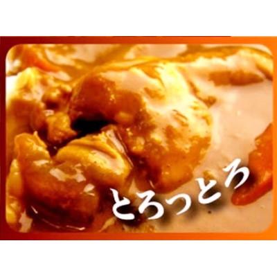ふるさと納税 飯塚市 いいづかカレーチキン15食セット｜y-sf｜04