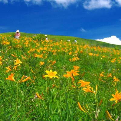 ふるさと納税 諏訪市 【霧ヶ峰(車山)草原トレッキング】〜自然を感じて、五感を使う　のんびり山歩き〜ツアー参加券2名様分_1