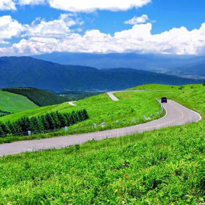 ふるさと納税 諏訪市 【霧ヶ峰(車山)草原トレッキング】〜自然を感じて、五感を使う　のんびり山歩き〜ツアー参加券2名様分_2