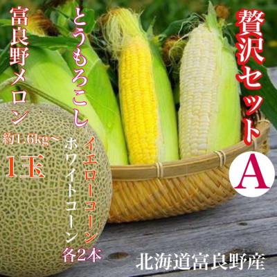 ふるさと納税 富良野市 「贅沢セットA」北海道富良野産 赤肉メロン1玉/ とうもろこし / 白いとうもろし