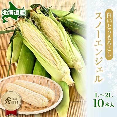 ふるさと納税 富良野市 白いとうもろこし「スノーエンジェル」北海道富良野産 L〜2L 10本入