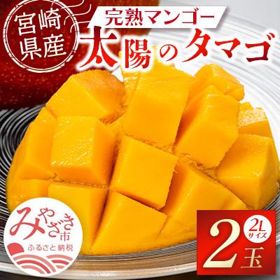 ふるさと納税 宮崎市 [ギフト・贈答]「宮崎自慢の特産品」宮崎県産完熟マンゴー 太陽のタマゴ 2L×2個