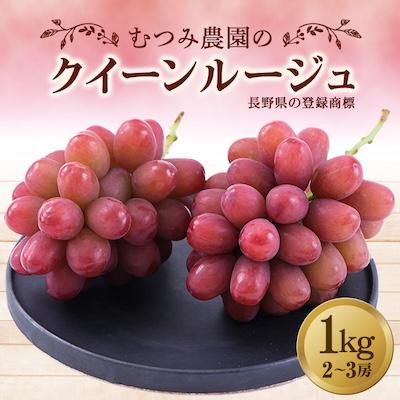 ふるさと納税 高森町 ぶどう むつみ農園のクイーンルージュ(長野県の登録商標)1kg(2房〜3房)