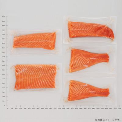 ふるさと納税 白糠町 国産ワンフローズントラウトサーモン【850g】｜y-sf｜03