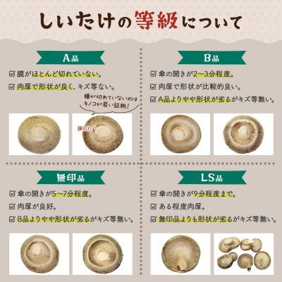 ふるさと納税 横手市 しいたけ A品 6M(約100g)×30パック_1