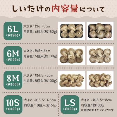 ふるさと納税 横手市 しいたけ A品 6M(約100g)×30パック_2