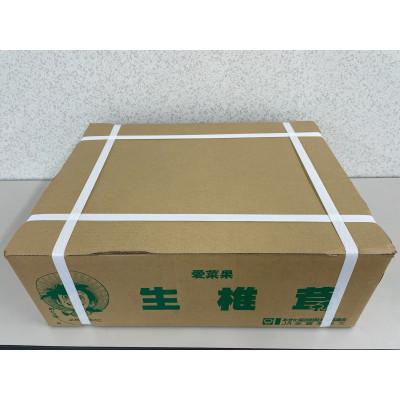 ふるさと納税 横手市 しいたけ A品 6M(約100g)×30パック_3