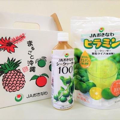 ふるさと納税 東村 シークヮーサー100(500ml×1本)&amp;顆粒タイプ ヒラミン(3g×30本)