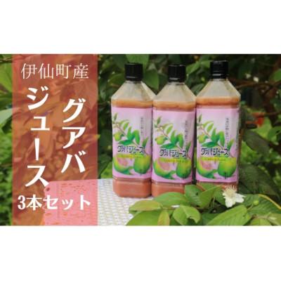 ふるさと納税 伊仙町 グァバ生ジュース 3本セット