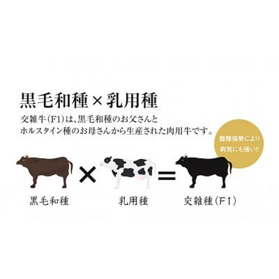 完動品 ふるさと納税 総社市 清麻呂牛 ロース テキ肉 約1.62kg(約180g×9枚) 岡山市場発F1 【ZYX7446340055】(27140円)