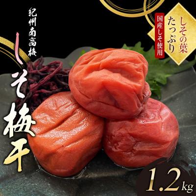 ふるさと納税 すさみ町 しその葉たっぷり紀州南高梅1.2kg