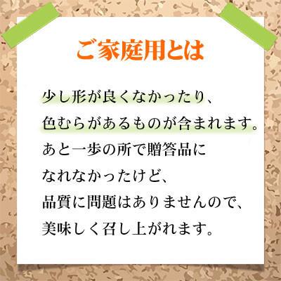 「#えぬわた砲」 ふるさと納税 津山市 【2024年8月下旬より発送】ご家庭用　岡山県産　ピオーネ　400g×2房