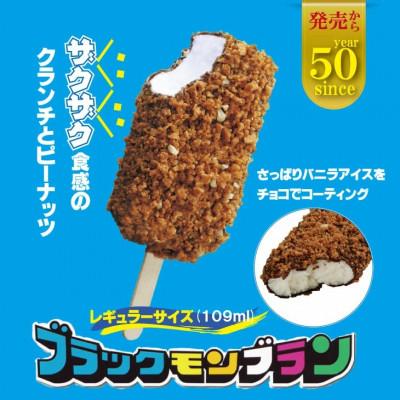 ふるさと納税 小城市 【ブラックモンブラン】棒アイス10本詰め合わせ　チョコクランチバーのご当地アイスセット_1