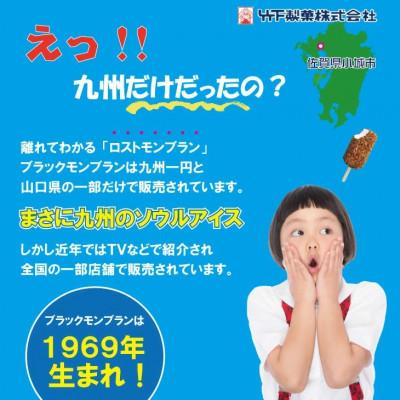 ふるさと納税 小城市 【ブラックモンブラン】棒アイス10本詰め合わせ　チョコクランチバーのご当地アイスセット_2