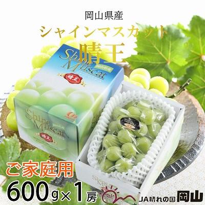 ふるさと納税 玉野市 [2025年8月より発送]ご家庭用 岡山県産 シャインマスカット 晴王 600g×1房