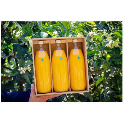 ふるさと納税 由良町 清見ジュース1000ミリ×3本入り