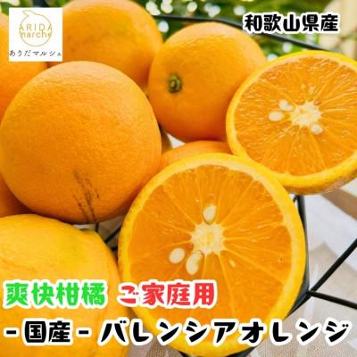 ふるさと納税 広川町 ≪出荷中≫有田育ちの国産バレンシアオレンジ(ご家庭用) 3kg[訳あり]