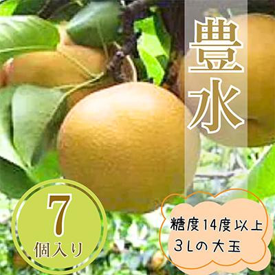 ふるさと納税 飯田市 梨 豊水 大玉で糖度14度以上 7〜8個入り 約3kg