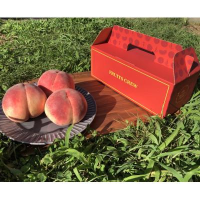 ふるさと納税 山梨市 人気ゴールデン番組で話題沸騰!桃通が好む本場『硬甘桃』お試し約1kg8月上旬発送