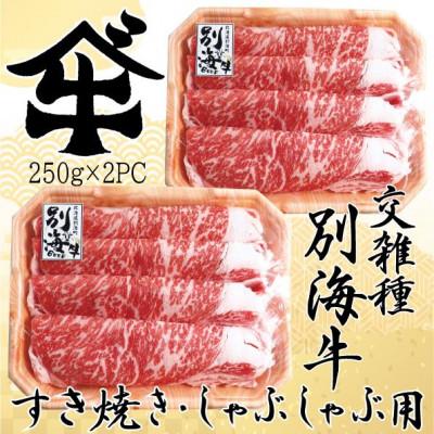 ふるさと納税 別海町 別海牛ロース500g すき焼き・しゃぶしゃぶ用 小分け250g×2パック 冷凍 北海道産牛肉スライス｜y-sf｜02