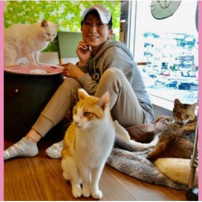 【公式】 ふるさと納税 八重瀬町 【南の島の動物愛護活動】保護猫活動等をサポート(10万円)ポストカード付き 【1262087840】(46000円)