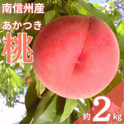 ふるさと納税 飯田市 [7月下旬より順次発送]南信州産「桃」あかつき 約2kg [5〜9玉]