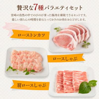 ふるさと納税 宮崎市 宮崎県産豚 バラエティセット 7種 合計3.7kg(宮崎市)