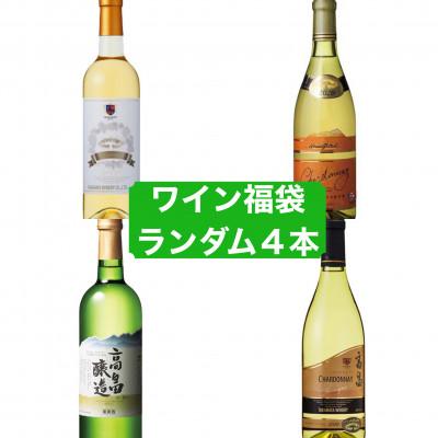 ふるさと納税 高畠町 何が届くかは運次第 高畠ワイナリーの白ワインのみ ワイン 福袋 甘口 辛口 発泡酒