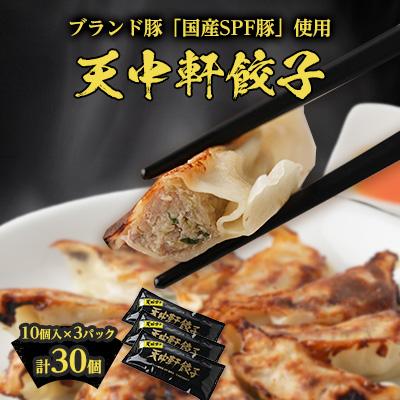 ふるさと納税 清須市 天中軒の冷凍餃子 3パック