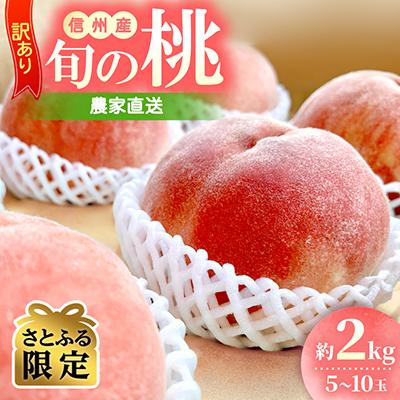 ふるさと納税 飯田市 訳あり 信州産 桃 約2kg 農家直送 旬の桃 2026年先行受付[さとふる限定]