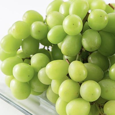 ふるさと納税 山梨市 【2026年先行受付】【訳あり】山梨市産シャイン