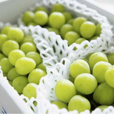 ふるさと納税 山梨市 【2026年先行受付】【訳あり】山梨市産シャイン