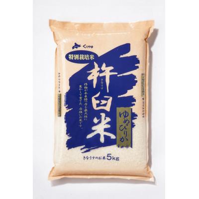 ふるさと納税 栗山町 特別栽培米ゆめぴりか(玄米)5kg