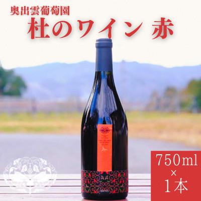 ふるさと納税 雲南市 杜のワイン赤 750ml×1本 辛口ワイン 赤ワイン1本