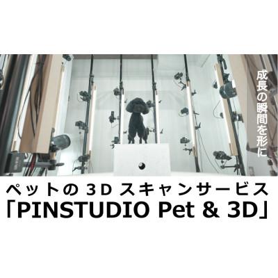ふるさと納税 中野区 ペットの3Dスキャンと3Dフルカラープリントによる造形(フィギュア)長辺5cm