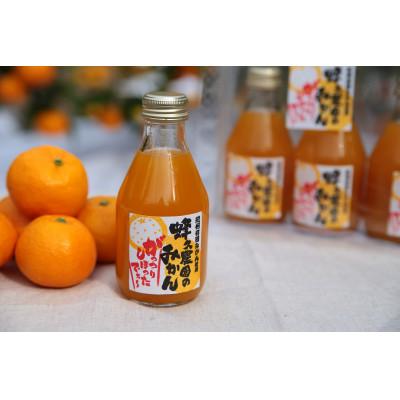 ふるさと納税 古座川町 蜂久農園のみかんがっつりしぼったでぇ 180ml×12本