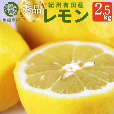 ふるさと納税 上富田町 秀品 紀州有田産レモン 2.5kg