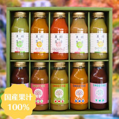 ふるさと納税 松川町 国産果汁100%ジュース&amp;スムージーセット(10本セット)NH04-23E