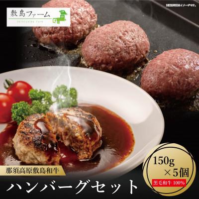 ふるさと納税 那須塩原市 敷島和牛手作りハンバーグ5個