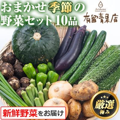 ふるさと納税 東串良町 自慢の農家×老舗青果店 新鮮野菜おまかせセット[0113601a]