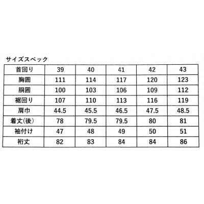 ふるさと納税 人吉市 ふるさと納税 特別仕様 HITOYOSHIシャツ ロイヤルオックス2枚セットBD SIZE43-86の画像