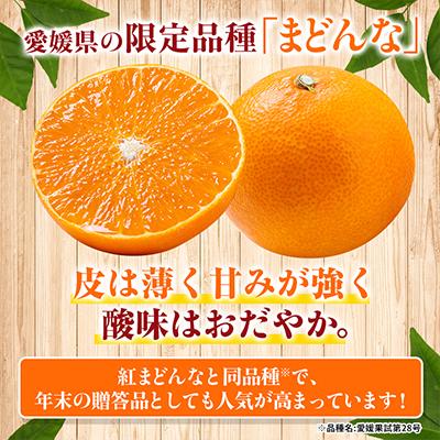 ATEEZ WILL　MAKESTAR みかん ブランケット　フルコンプ 12枚 甘みが濃縮されたみかん】愛媛で育った夕やけみかん【極】3kg【C49-25