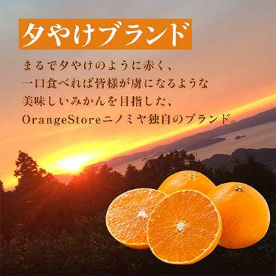 ATEEZ WILL　MAKESTAR みかん ブランケット　フルコンプ 12枚 ATEEZ WILLMAKESTAR みかん ブランケットフルコンプ 12枚