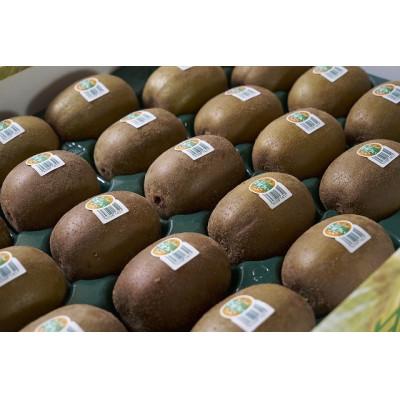 ふるさと納税 福岡市 【先行受付】福岡県産限定オリジナルキウイ・甘うぃ約3kg(福岡市返礼品)_1