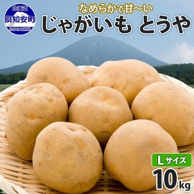 ふるさと納税 倶知安町 北海道倶知安町産 じゃがいも「とうや」Lサイズ 10kg 馬鈴薯 産地直送