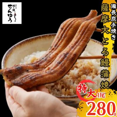 ふるさと納税 鹿屋市 薩摩大とろ鰻蒲焼280gサイズ一尾[2053]