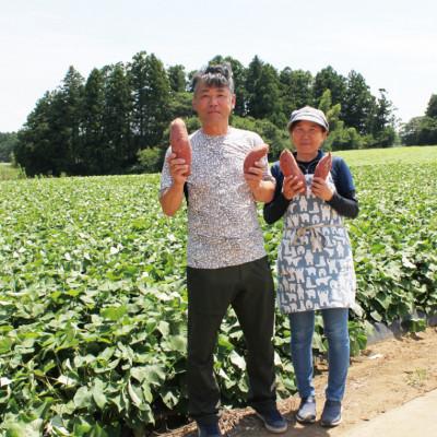 ふるさと納税 行方市 先行予約　茨城県産 紅はるか 訳あり 無選別 さつまいも 紅はるか 10kg サツマイモ CU-55 |  | 02