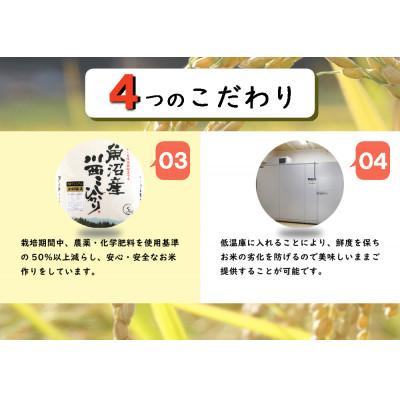 ふるさと納税 十日町市 【先行受付　10月上旬発送】【無洗米】新潟県魚沼産　川西こしひかり5kg　令和6年度米｜y-sf｜03