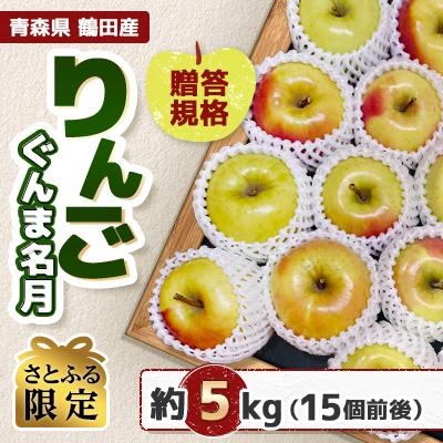 ふるさと納税 鶴田町 [さとふる限定]青森県 鶴田産 りんご ぐんま名月 贈答規格 約5kg(15個前後)